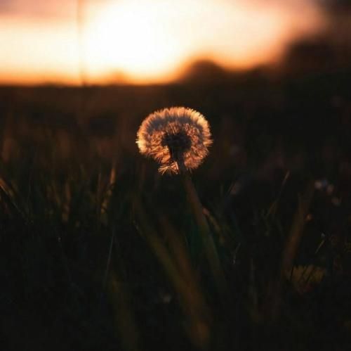 دلت پاک تر از یه قطره اشک بدهکارم من بهت تهش