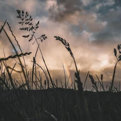 جون جون جوونمی نری جایی تو بدون من