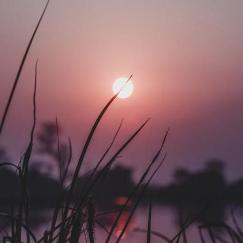  پیشتون وایسادیم ما تا الان خون معرفت میچرخه لا رگام