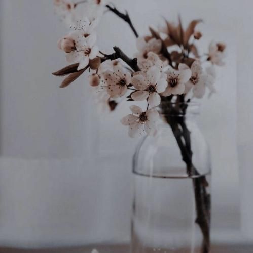  خارجی میدونم دلت پارتی میخواد به بدنت گوش کن