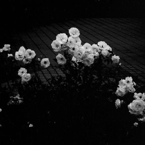 خودمو که گول نمیشه بزنم نپریدی از سرم یه ذره ام هوش مصنوعی