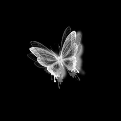 تو فرنام دیده بودم تو رو من از اول زخم خوردم من ازت بد