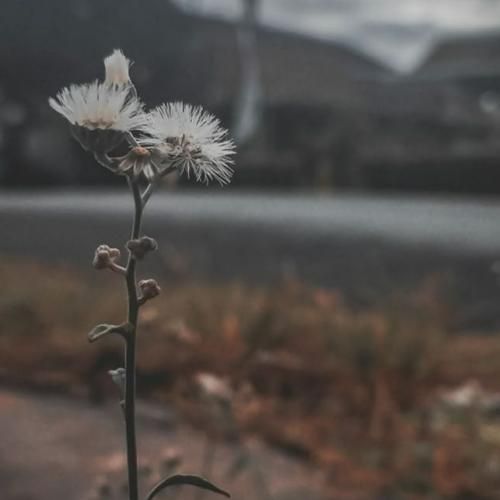 دایان حواسم جمع بت حواست پرت چیه