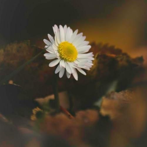  عجب داف لذیذی چه میکاپ تمیزی من دکترم