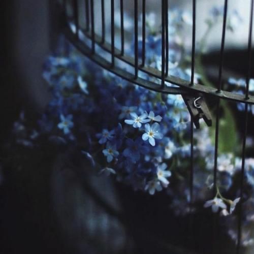  بابا ببین کجا ولم مامان برد این دافه دلم