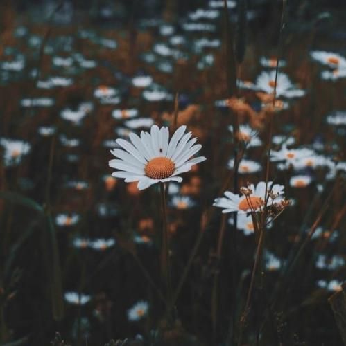 بدخوامم میگه دور ماست دیگه زیر آستینم قایم شده