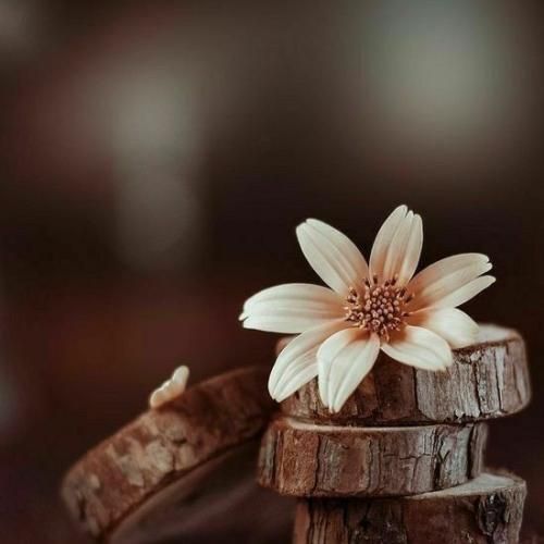 Ebru Yaşar Yillar Sonra