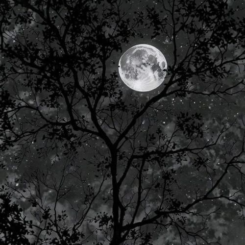  میس کالاتو میبینم دلم میگه برش ندار آسمون یه بار دیگه