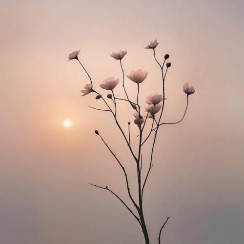 این ساعتم رد شد بازم هوا بد شد با صدای عقیلی