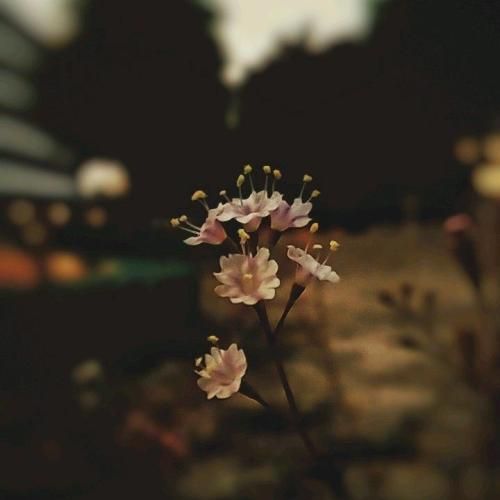 روسی ﻣﻨﻮ زود اﺳﻴﺮ ﺧﻮدت ﻛﺮدی ﺑﺎ ﭼﺸﻤﺎم ﻣﻴﺒﻴﻨﻢ ﻛﻪ ﻧﺰدﻳﻜﻤﻰ