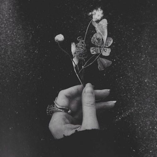  طنابو گردنم بنداز مردن به دست تو قشنگه هوش مصنوعی