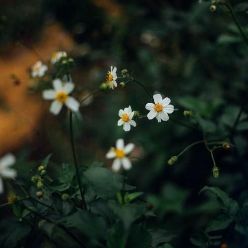  فردامو بسازم تنها اگه کابوس من شبات به سر شد