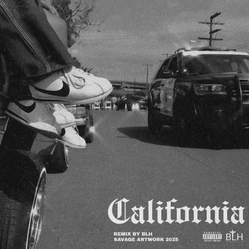 بی ال اچ ریمیکس کالیفرنیا