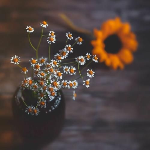 ترکی کاش میشد برای آخرین بار دستاتو بگیرم سکوت کنم