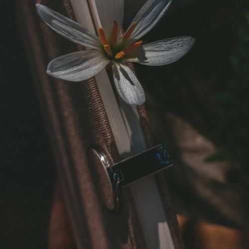 دیجی باربد تهران فیت 41