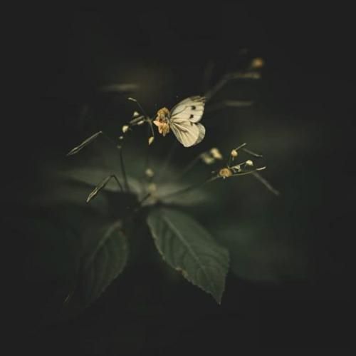 چقدر باید صبر کنم بسه دیگه جوونیم رفت