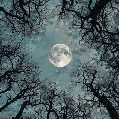  خودیا از همه دشمن ترن تو پشتم زدی که از پشت بهم زدن