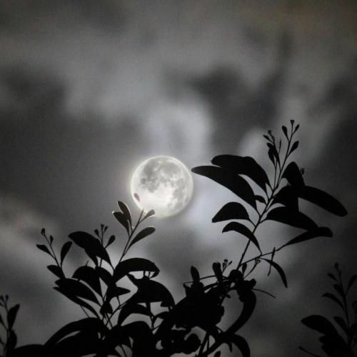  حتی اگه جهنم باشه ته مسیرم رفیق من رفیق من