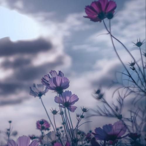  نصف شب میشینم اینجا تنها بی تو