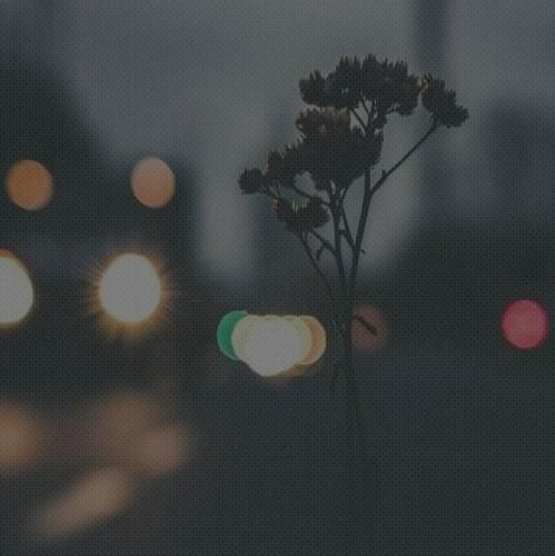  آیسم مثل قبلنات نیستی شاید منم یهو رفتم مثل