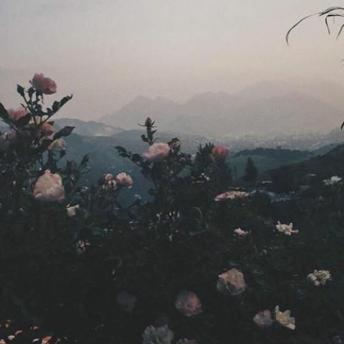  قد بلند به به گل ابرو کمند به به هوش مصنوعی