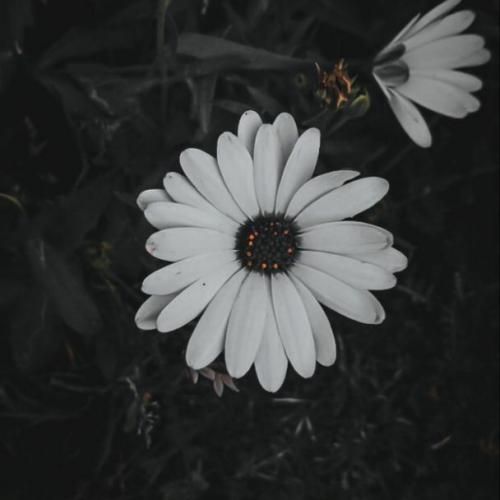 بگو آخه واسه ی چی پیشم نمیای خوب من