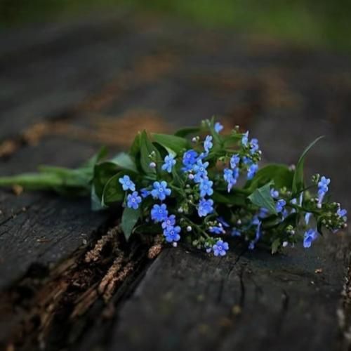  میدونم دوست داشتی بزنم حرف قشنگ من ولی خب دنیا