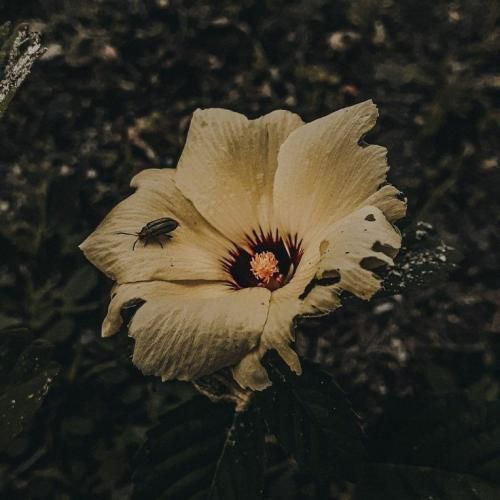  دوباره کردم یاد قدیما رو تو بگو تا کی بازی کنم رل قبلیارو هوش مصنوعی