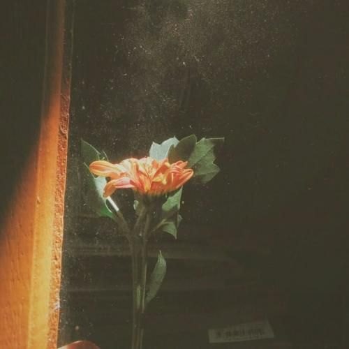  یه روزی میگذره آب از سرم این دندون لق لامصبو