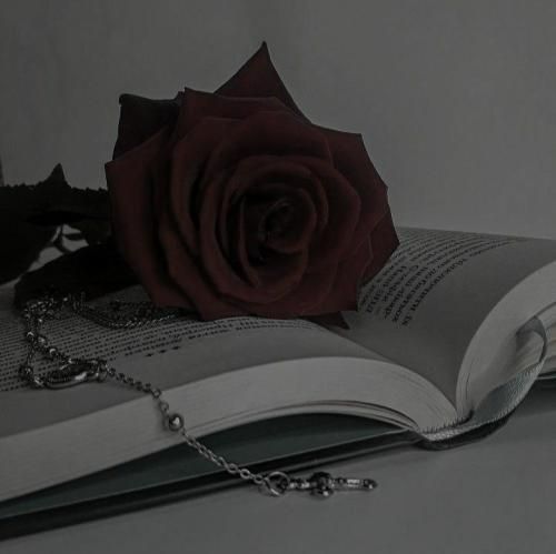  بوسیدمت هر بار برا بار آخر تو رفتی نمیکنم هیچ وقت اینو باور