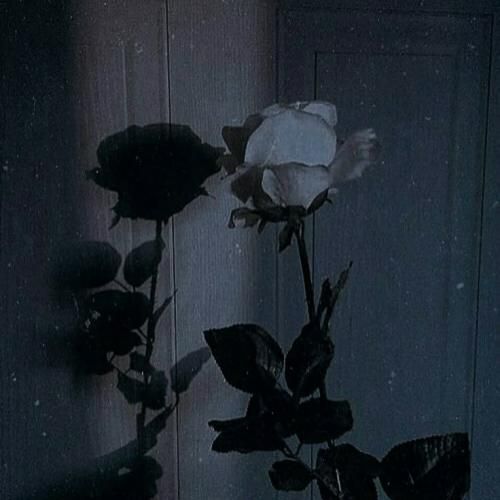 عربی هنوز تو ذهنم هست هنوز برام با ارزشه