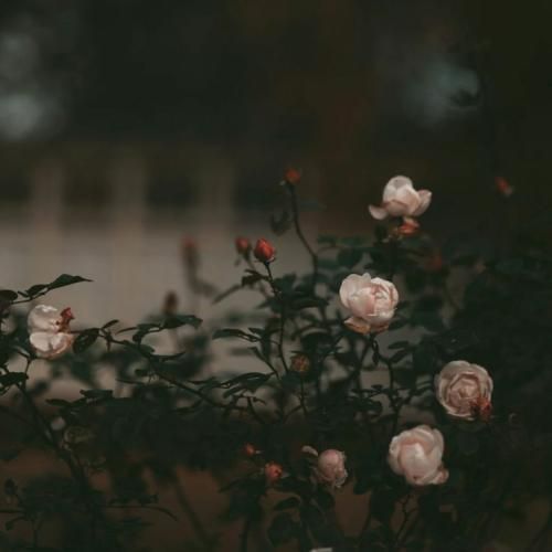 حالا به این عشقا نی اعتباری