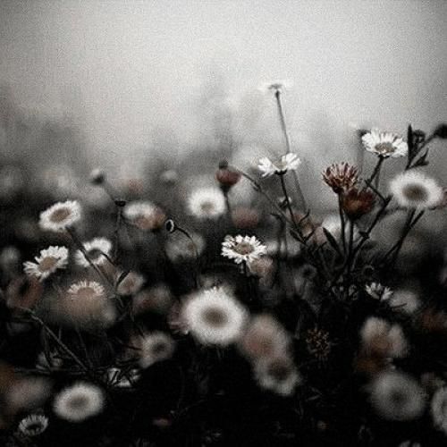  بتمنی انساک من بی تو داغونم بیا و بزن آرومم