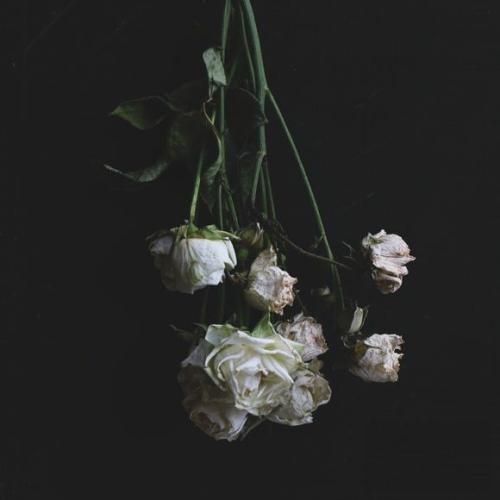 شبیه تو فقط تویی عاشق بی توقعی چه خوبه دیوونت شدم