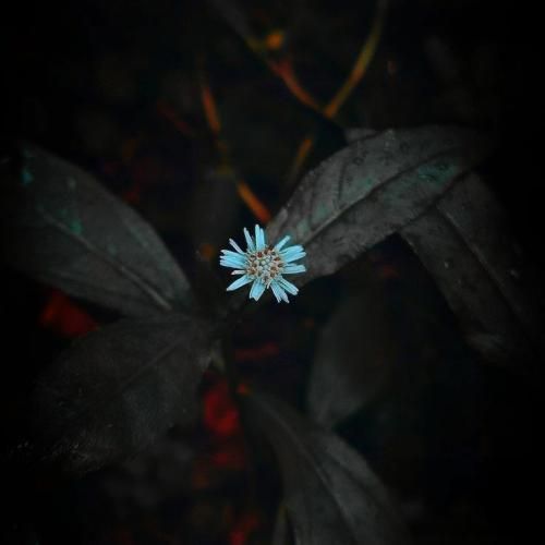  من اینجام دنبال آینه میگردی تو رقص پایی که میکردی