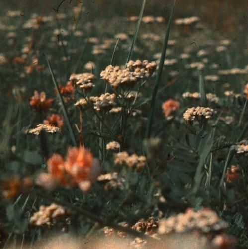  خودیا از همه دشمن ترن تو پشتم زدی هوش مصنوعی