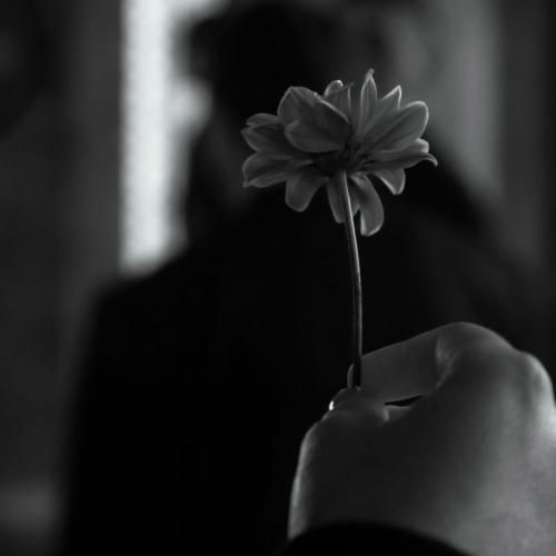  چی داری آخه تو چشات خودش یه عالمه نگات