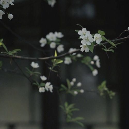 چشم و ابروت عزیزم واسه مو کل دنیا شده توی دلم ببین