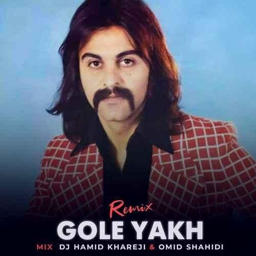 کوروش یغمایی گل یخ