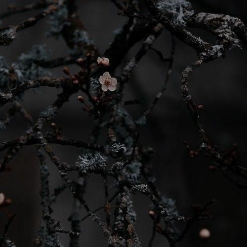  شروع اصلی بازی ماس من تموم خوابمو رفتم