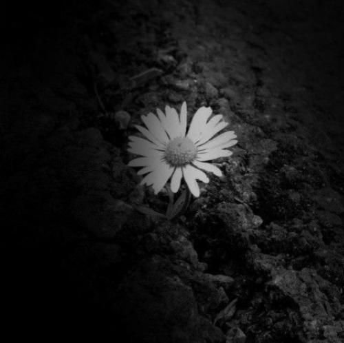 همسفر تنها نرو بزار تا با هم بریم سرنوشتمون یکی