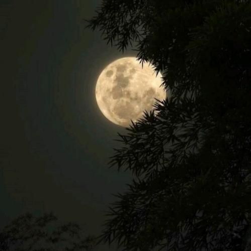 ﺗﺎ ﺳﻘﻮط ﻓﺎﺻﻠﻪ ای ﻧﻴﺴﺖ از اﻳﻨﺠﺎ ﻛﻪ ﻣﻨﻢ ﺗﺎ ﺟﻨﻮن