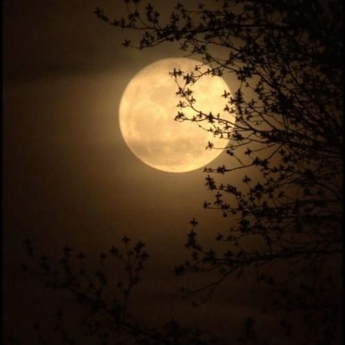 ولی من دلم میخواد جلو اونی که دوست داره برقصی بام