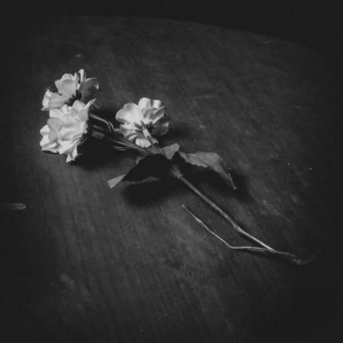  خوبتو خواستم اگه نخواستم من هیچی واسه خودم