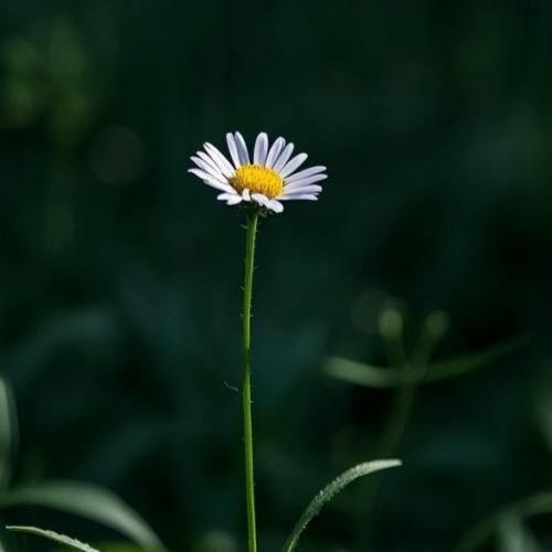 منو ببخش اگه حرف من دلتو شکست