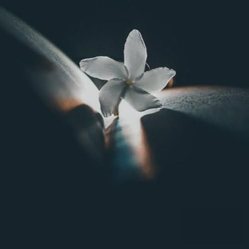  من نخوابیدم یه شب بعد تو کامل از اولین