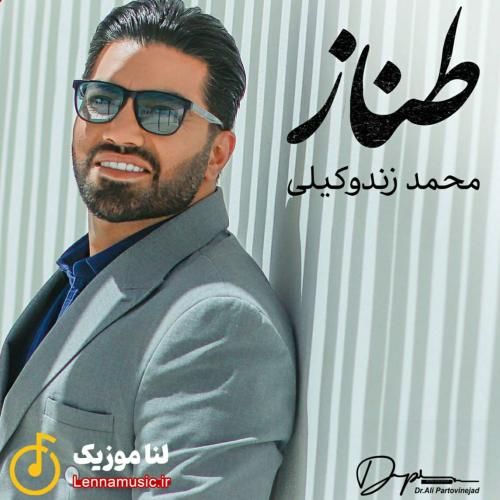 محمد زندوکیلی طناز