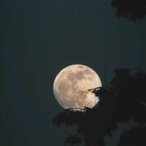 روسی نشونه های تو برای من دردناکه من از زندگی خسته شدم