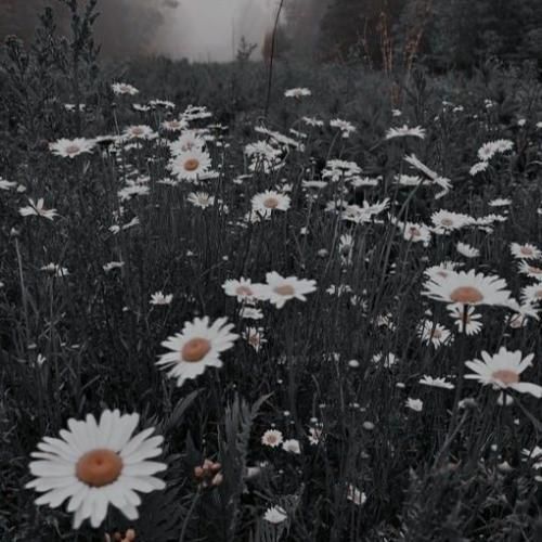  تو دختر منی و منم هی میکشم نازتو