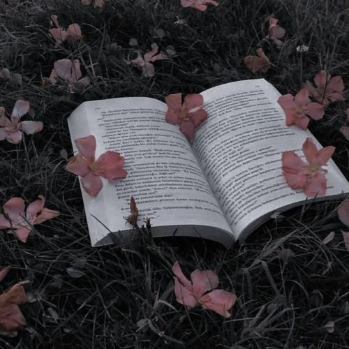 خانومی کن و صبر کن واسم